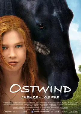 骏马奥斯温 Ostwind (2013) 家庭 德国