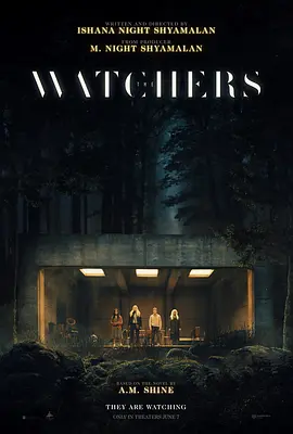 神秘窥视 The Watchers (2024)