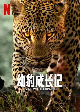 幼豹成长记 Living with Leopards (2024) 英国纪录片