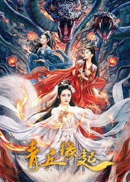 青丘缘起（2024）爱情 古装