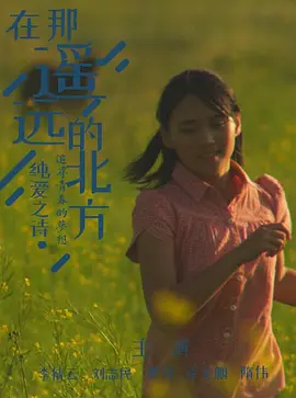 在那遥远的北方 (2024)